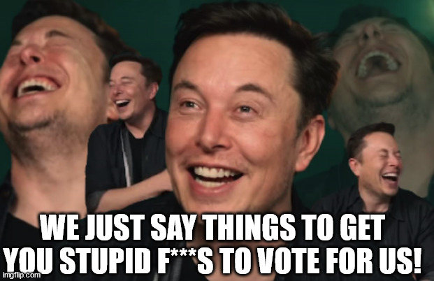 Elon Musk Laughing | WE JUST SAY THINGS TO GET YOU STUPID F***S TO VOTE FOR US! | image tagged in elon musk laughing | made w/ Imgflip meme maker