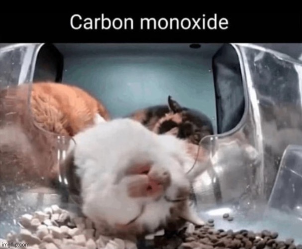 Carbon monoxide | made w/ Imgflip meme maker