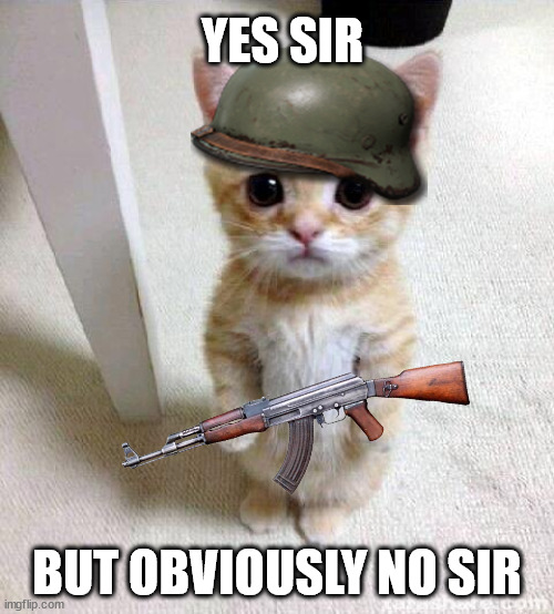 no sir | YES SIR; BUT OBVIOUSLY NO SIR | image tagged in memes,cute cat,soldier,cats,funny | made w/ Imgflip meme maker