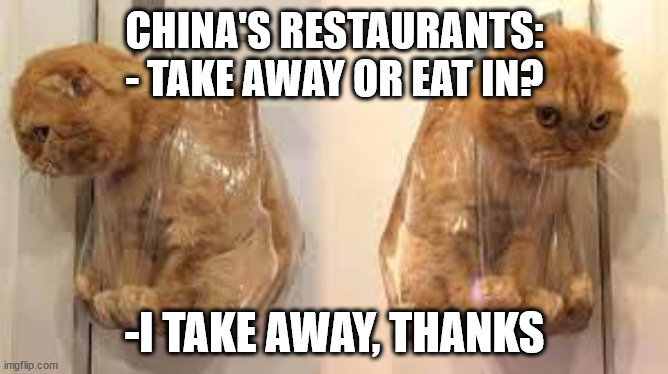 they eat cat part 2 | CHINA'S RESTAURANTS:
- TAKE AWAY OR EAT IN? -I TAKE AWAY, THANKS | image tagged in cats,china,memes | made w/ Imgflip meme maker