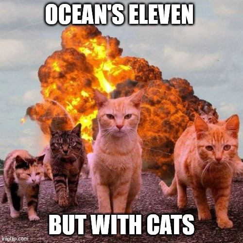 Cats in ocean's eleven | OCEAN'S ELEVEN; BUT WITH CATS | image tagged in cats,memes,funny | made w/ Imgflip meme maker