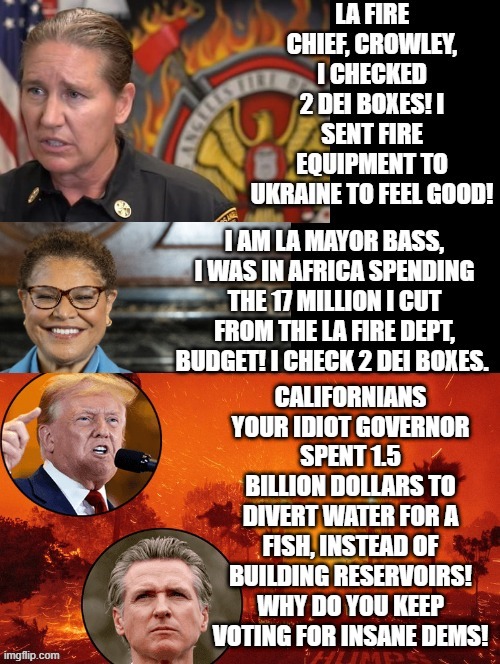 Checking DEI boxes and voting for idiots! That is what idiot Democrats do!! | CALIFORNIANS YOUR IDIOT GOVERNOR SPENT 1.5 BILLION DOLLARS TO DIVERT WATER FOR A FISH, INSTEAD OF BUILDING RESERVOIRS! WHY DO YOU KEEP VOTING FOR INSANE DEMS! | image tagged in sam elliott special kind of stupid,morons,idiots,woke,stupid liberals | made w/ Imgflip meme maker