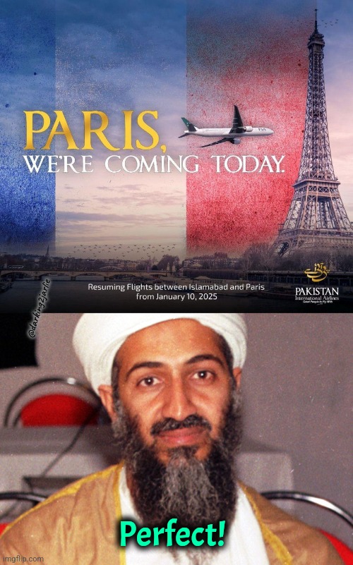 Sequel or reboot? | @darking2jarlie; Perfect! | image tagged in 9/11,dark humor,osama bin laden | made w/ Imgflip meme maker