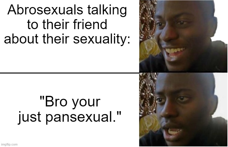 i w i l l e a t y o u r t o e s | Abrosexuals talking to their friend about their sexuality:; "Bro your just pansexual." | image tagged in homosexual | made w/ Imgflip meme maker