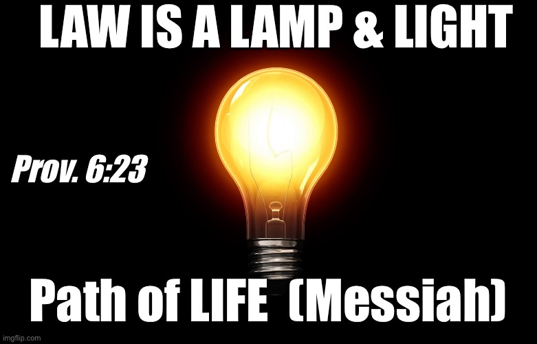 light bulb | LAW IS A LAMP & LIGHT; Prov. 6:23; Path of LIFE  (Messiah) | image tagged in light bulb | made w/ Imgflip meme maker