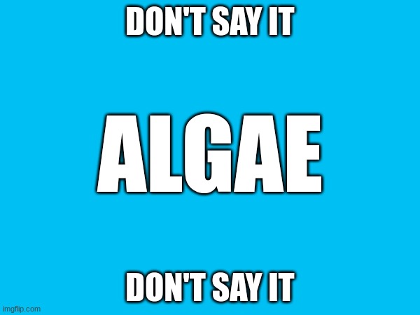 DON'T SAY IT; ALGAE; DON'T SAY IT | image tagged in funny | made w/ Imgflip meme maker