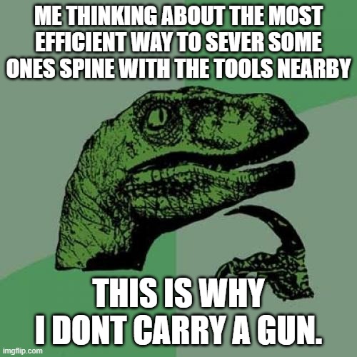 dead | ME THINKING ABOUT THE MOST EFFICIENT WAY TO SEVER SOME ONES SPINE WITH THE TOOLS NEARBY; THIS IS WHY I DONT CARRY A GUN. | image tagged in memes,philosoraptor | made w/ Imgflip meme maker