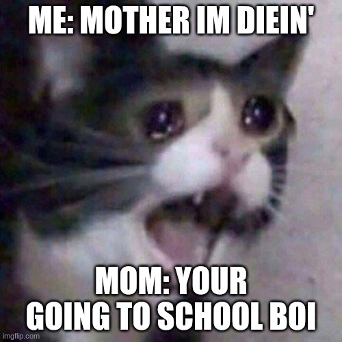 Screaming Cat meme | ME: MOTHER IM DIEIN'; MOM: YOUR GOING TO SCHOOL BOI | image tagged in screaming cat meme | made w/ Imgflip meme maker