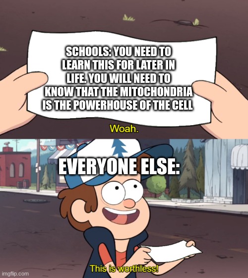 Have a good day! | SCHOOLS: YOU NEED TO LEARN THIS FOR LATER IN LIFE. YOU WILL NEED TO KNOW THAT THE MITOCHONDRIA IS THE POWERHOUSE OF THE CELL; EVERYONE ELSE: | image tagged in this is worthless,school,funny,fun | made w/ Imgflip meme maker