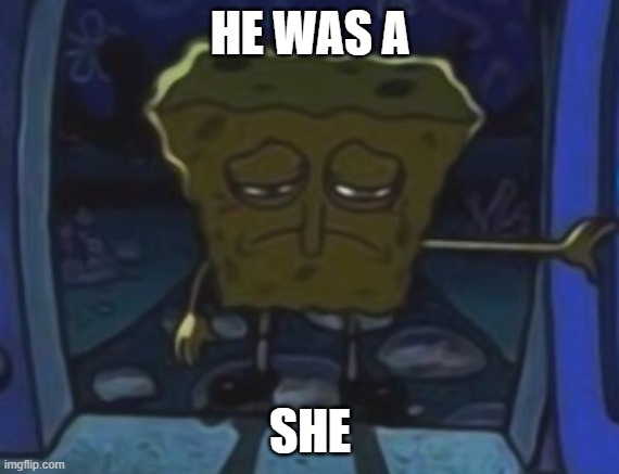 sad spongebob | HE WAS A; SHE | image tagged in sad spongebob | made w/ Imgflip meme maker