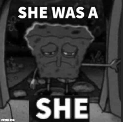 He was a She | image tagged in he was a she | made w/ Imgflip meme maker