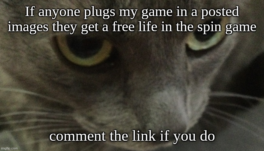 Sweetie | If anyone plugs my game in a posted images they get a free life in the spin game; comment the link if you do | image tagged in sweetie | made w/ Imgflip meme maker