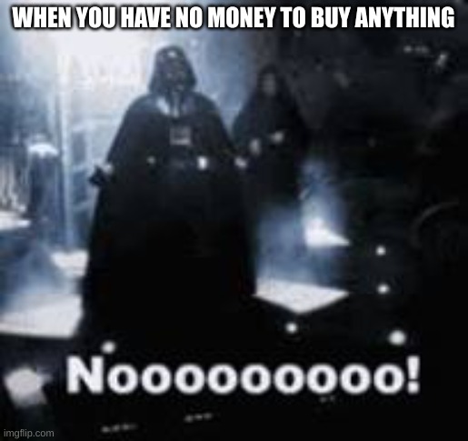 NOOOOO | WHEN YOU HAVE NO MONEY TO BUY ANYTHING | image tagged in nooooo | made w/ Imgflip meme maker