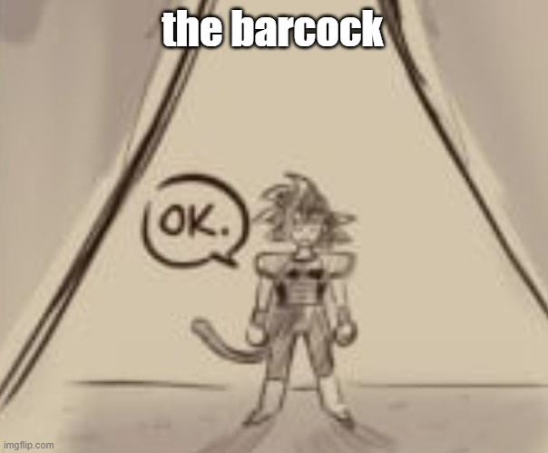 Bardock "OK." | the barcock | image tagged in bardock ok | made w/ Imgflip meme maker