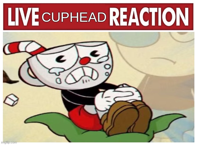 Live reaction | CUPHEAD | image tagged in live reaction | made w/ Imgflip meme maker