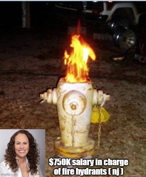 $750K salary in charge of fire hydrants ( nj ) | made w/ Imgflip meme maker