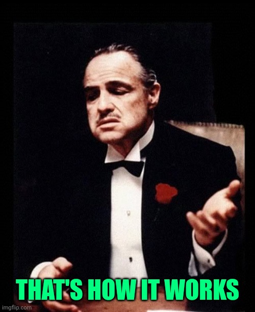 mafia don corleone | THAT'S HOW IT WORKS | image tagged in mafia don corleone | made w/ Imgflip meme maker