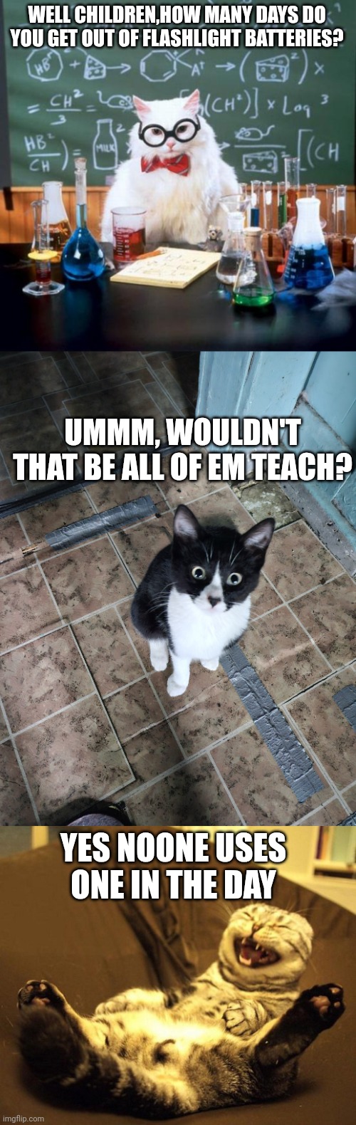 WELL CHILDREN,HOW MANY DAYS DO YOU GET OUT OF FLASHLIGHT BATTERIES? UMMM, WOULDN'T THAT BE ALL OF EM TEACH? YES NOONE USES ONE IN THE DAY | image tagged in memes,chemistry cat,surprised sylvester,laughing cat | made w/ Imgflip meme maker