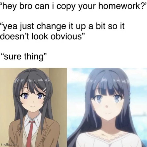 image tagged in rascal does not dream of bunny girl senpai,mai,shoko | made w/ Imgflip meme maker