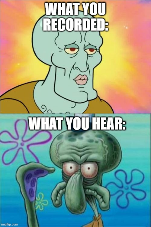 Squidward | WHAT YOU RECORDED:; WHAT YOU HEAR: | image tagged in memes,squidward | made w/ Imgflip meme maker