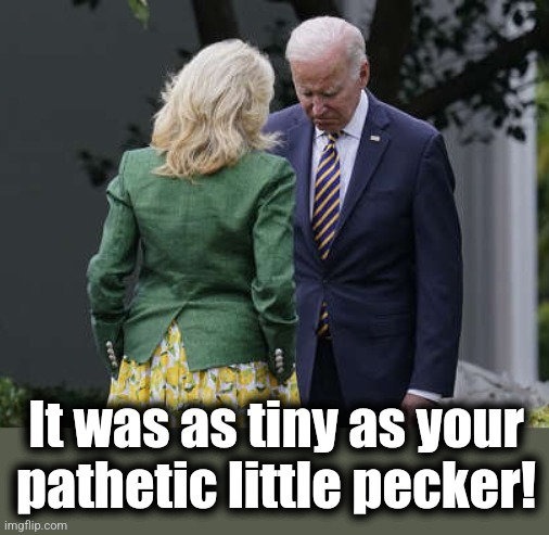 Jill Biden for the love of god, Joe | It was as tiny as your
pathetic little pecker! | image tagged in jill biden for the love of god joe | made w/ Imgflip meme maker