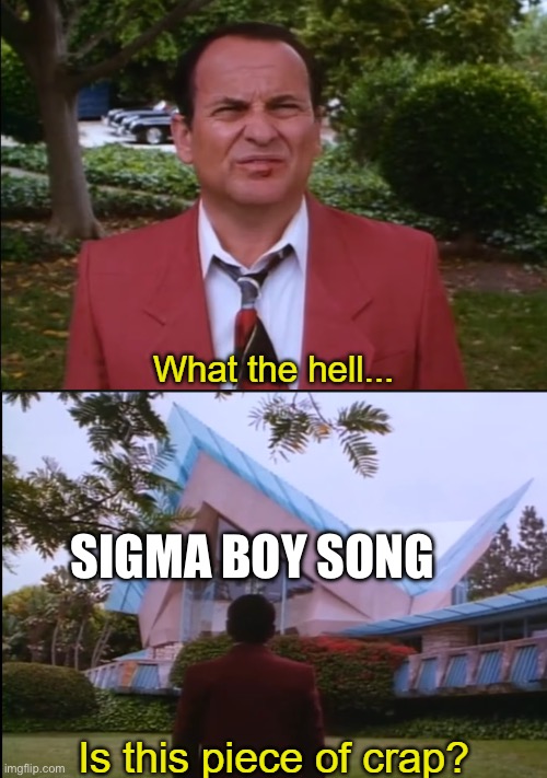 It’s stupid | SIGMA BOY SONG | image tagged in joe pesci what the hell is this censored | made w/ Imgflip meme maker