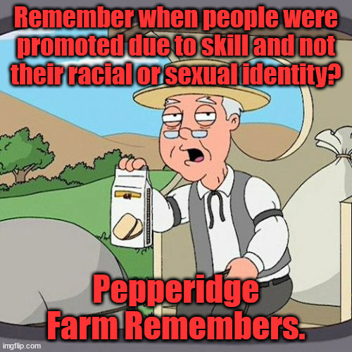 Identity Over Skill Leads to Death. Ask the people of LA | Remember when people were promoted due to skill and not their racial or sexual identity? Pepperidge Farm Remembers. | image tagged in memes,pepperidge farm remembers | made w/ Imgflip meme maker