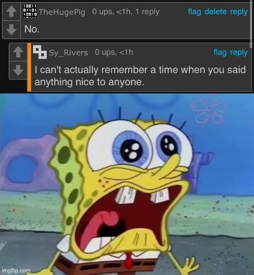 NOOOOOOOOOOOO | image tagged in spongebob crying/screaming | made w/ Imgflip meme maker