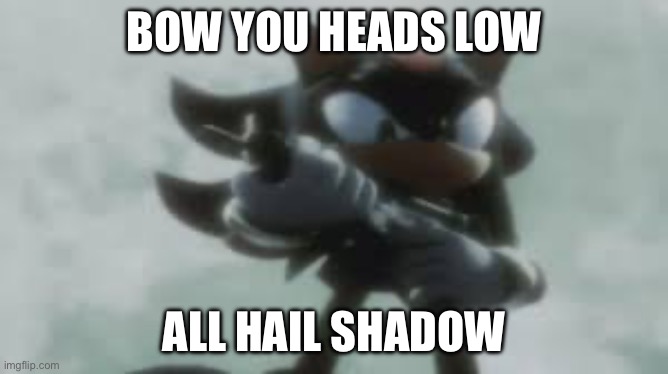 BOW YOU HEADS LOW ALL HAIL SHADOW | image tagged in shadow the hedgehog with a gun | made w/ Imgflip meme maker