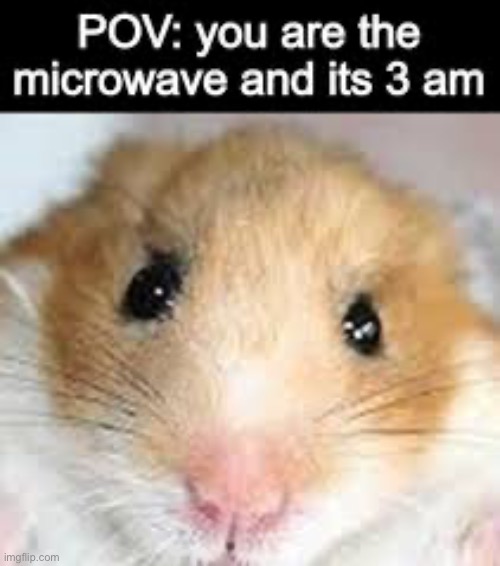 Microwave | made w/ Imgflip meme maker