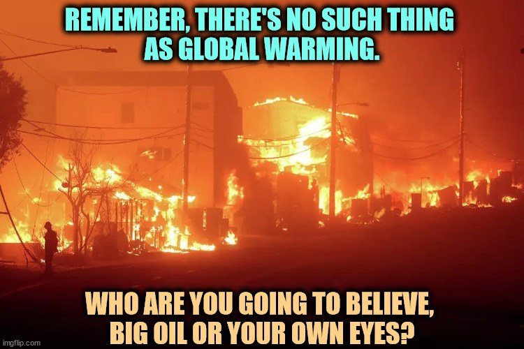 Trump blames Newsom. That's garbage. Trump is protecting the oil companies that bought his gonads. | REMEMBER, THERE'S NO SUCH THING 
AS GLOBAL WARMING. WHO ARE YOU GOING TO BELIEVE, 
BIG OIL OR YOUR OWN EYES? | image tagged in global warming,california fires,trump,excuses | made w/ Imgflip meme maker