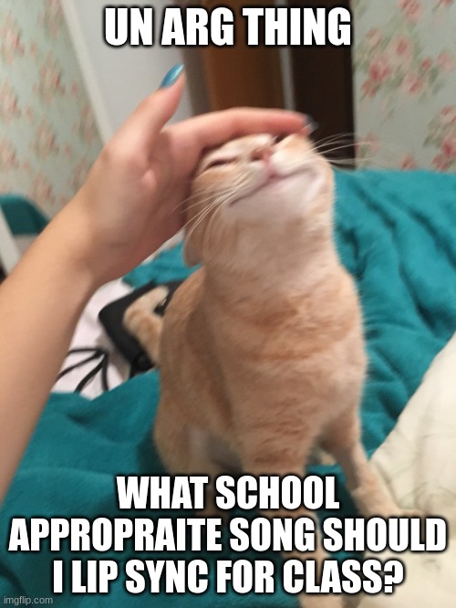 NO INAPPROPRIATE STUFF | UN ARG THING; WHAT SCHOOL APPROPRAITE SONG SHOULD I LIP SYNC FOR CLASS? | image tagged in cat pat | made w/ Imgflip meme maker