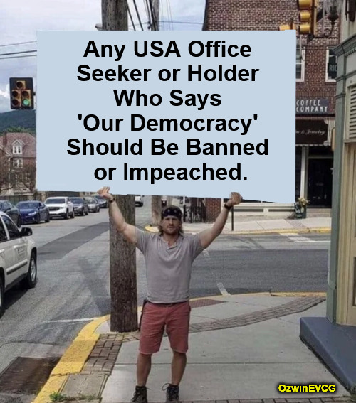 [Our Induced Collective Ignorance] | Any USA Office 

Seeker or Holder 

Who Says 

'Our Democracy' 

Should Be Banned 

or Impeached. OzwinEVCG | image tagged in man holding sign,american republic,our democracy,american democracy,republic vs democracy,politicians suck | made w/ Imgflip meme maker