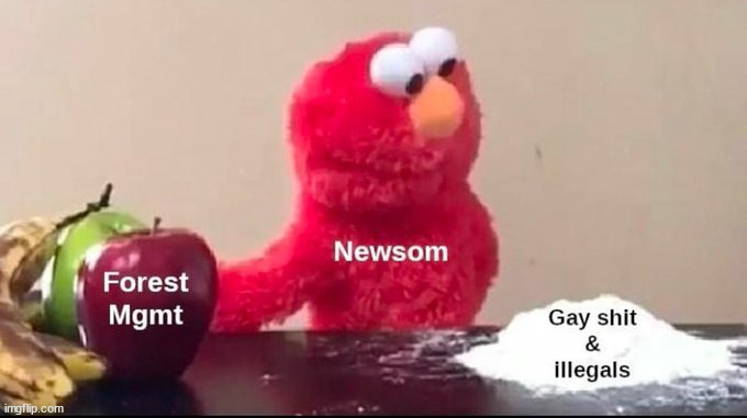 9ga07f.jpg