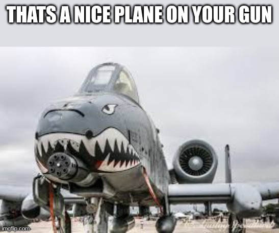 A10 | THATS A NICE PLANE ON YOUR GUN | image tagged in a10 | made w/ Imgflip meme maker