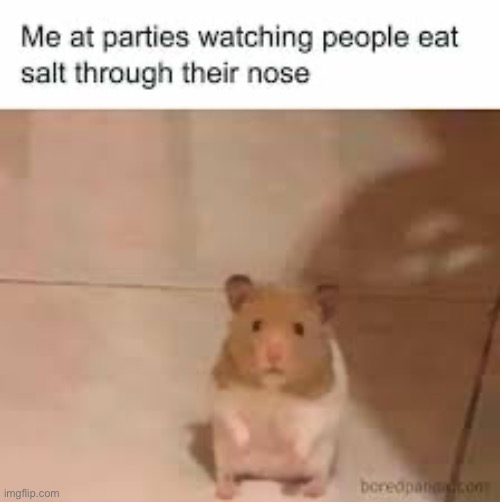 Sniff the salt | image tagged in memes,funny,dark humor,drugs | made w/ Imgflip meme maker