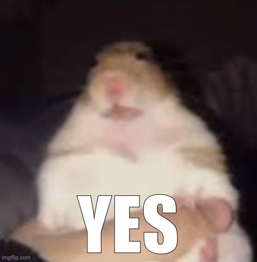 YES | made w/ Imgflip meme maker