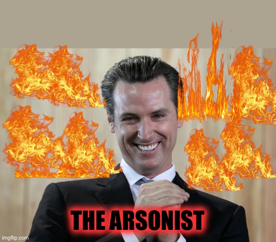 Scheming Gavin Newsom  | THE ARSONIST | image tagged in scheming gavin newsom | made w/ Imgflip meme maker