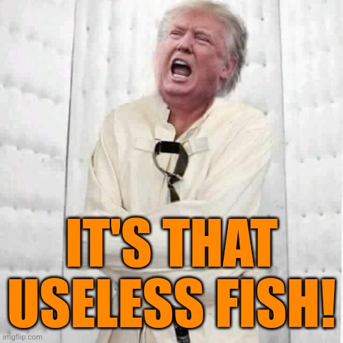 crazy trump | IT'S THAT USELESS FISH! | image tagged in crazy trump | made w/ Imgflip meme maker