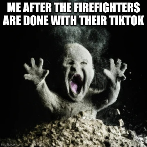 Ash Baby | ME AFTER THE FIREFIGHTERS ARE DONE WITH THEIR TIKTOK | image tagged in ash baby | made w/ Imgflip meme maker