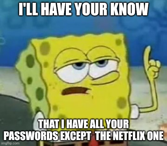 I'll Have You Know Spongebob | I'LL HAVE YOUR KNOW; THAT I HAVE ALL YOUR PASSWORDS EXCEPT  THE NETFLIX ONE | image tagged in memes,i'll have you know spongebob | made w/ Imgflip meme maker