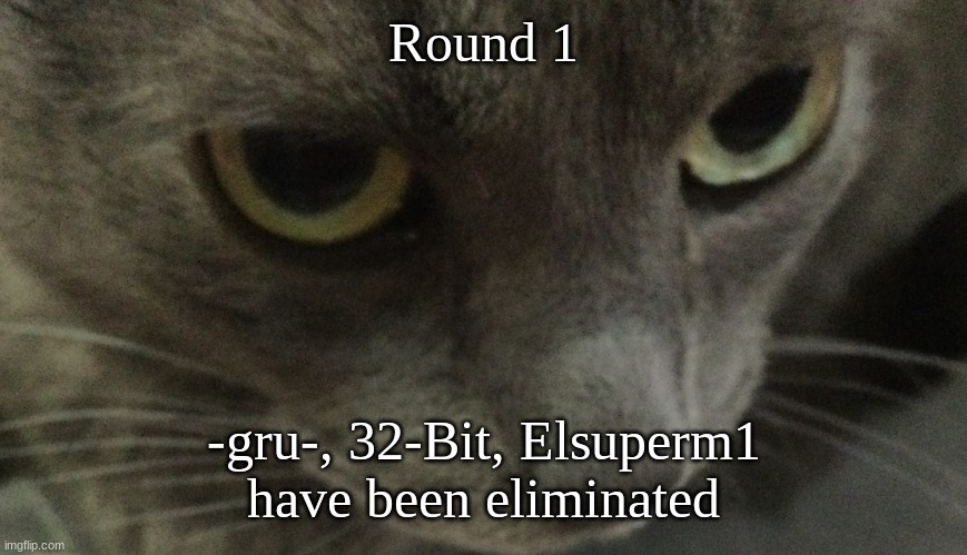 Sweetie | Round 1; -gru-, 32-Bit, Elsuperm1
have been eliminated | image tagged in sweetie | made w/ Imgflip meme maker