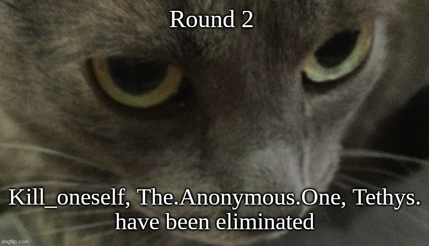 Sweetie | Round 2; Kill_oneself, The.Anonymous.One, Tethys.
have been eliminated | image tagged in sweetie | made w/ Imgflip meme maker