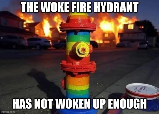 THE WOKE FIRE HYDRANT; HAS NOT WOKEN UP ENOUGH | made w/ Imgflip meme maker