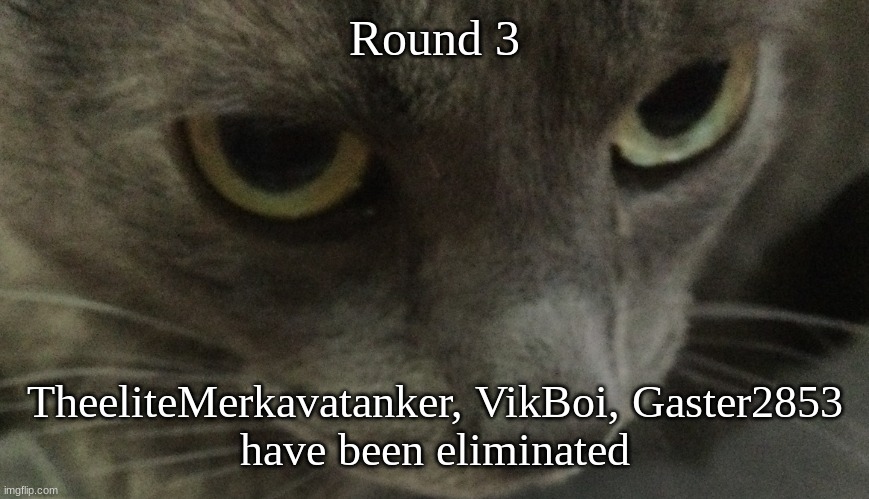 Sweetie | Round 3; TheeliteMerkavatanker, VikBoi, Gaster2853
have been eliminated | image tagged in sweetie | made w/ Imgflip meme maker