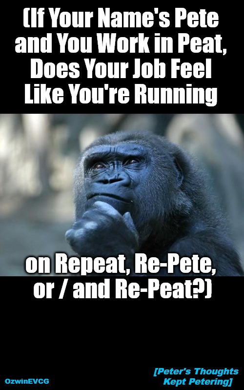 PTKP | (If Your Name's Pete 

and You Work in Peat, 

Does Your Job Feel 

Like You're Running; on Repeat, Re-Pete, 

or / and Re-Peat?); [Peter's Thoughts 

Kept Petering]; OzwinEVCG | image tagged in deep thoughts,pete,peter,peat,repeat,work life | made w/ Imgflip meme maker