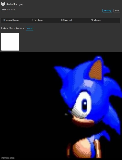 imgflip is not ready for bots moderating their streams | image tagged in sonic stares | made w/ Imgflip meme maker