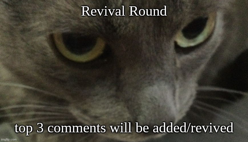 Sweetie | Revival Round; top 3 comments will be added/revived | image tagged in sweetie | made w/ Imgflip meme maker