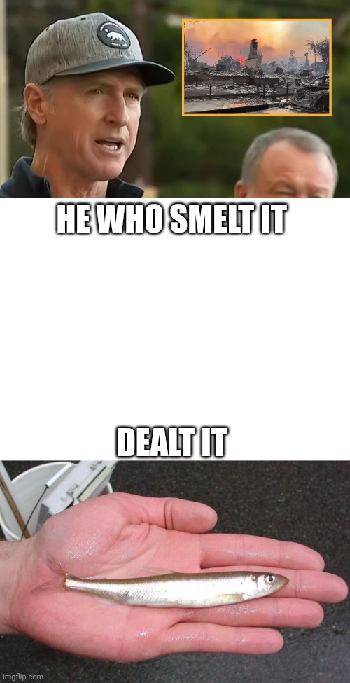 Smelt it | HE WHO SMELT IT; DEALT IT | made w/ Imgflip meme maker