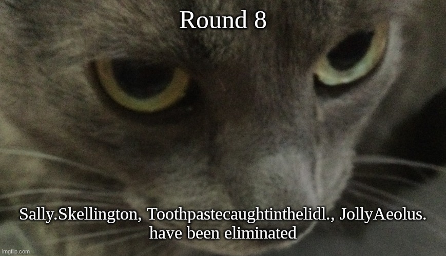 Sweetie | Round 8; Sally.Skellington, Toothpastecaughtinthelidl., JollyAeolus.
have been eliminated | image tagged in sweetie | made w/ Imgflip meme maker